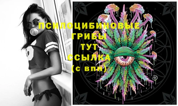 MESCALINE Переславль-Залесский