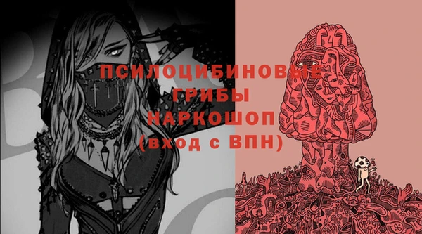 ECSTASY Алзамай