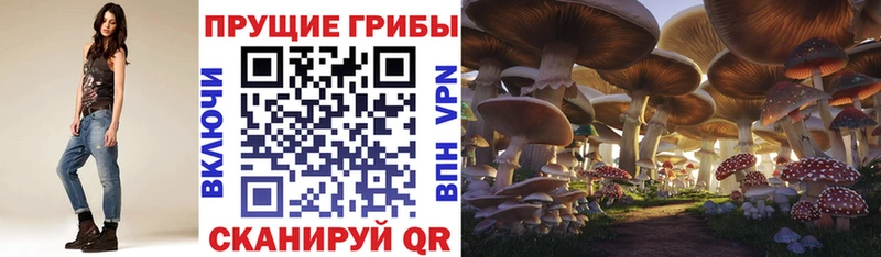 Галлюциногенные грибы MAGIC MUSHROOMS  наркота  Благодарный 