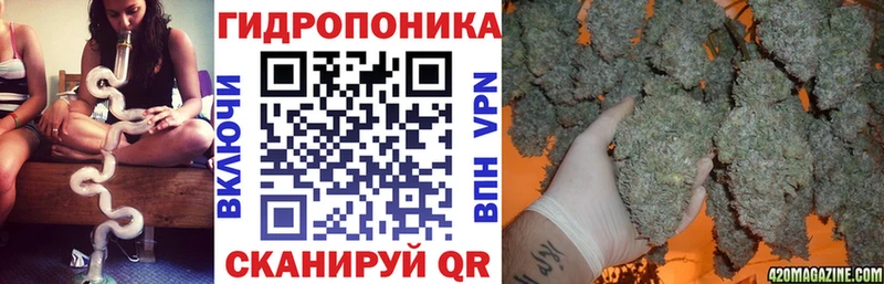 блэк спрут ONION  цена   Благодарный  Каннабис сатива 